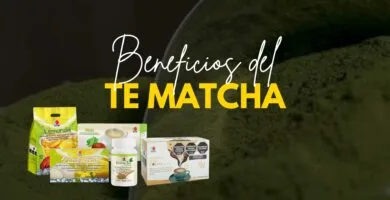 Beneficios del Té Matcha para la Salud
