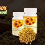 pomo presentación de 120 tabletas de 294 mg de color blanco presentación pomo de BEE POLLEN. con el polen de abeja.