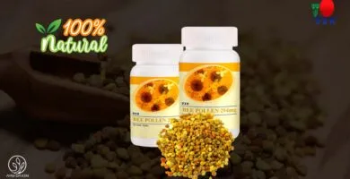 pomo presentación de 120 tabletas de 294 mg de color blanco presentación pomo de BEE POLLEN. con el polen de abeja.
