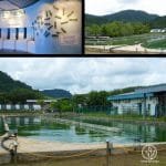 fábrica de Espirulina de DXN, producción de espirulina en Malasia.