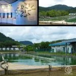 fábrica de Espirulina de DXN, producción de espirulina en Malasia.