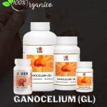 4 pomos de distintas medidas, de plásticos de color blanco todos para el Ganocelium.