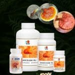 4 pomos de distintas medidas, de plásticos de color blanco todos para el Ganocelium.