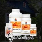 4 pomos de distintas medidas, de plásticos de color blanco todos para el Ganocelium.