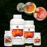 El Reishi Gano (RG) presentación de 30, 90, 360 cápsulas y también en polvo.