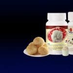 hongo melena de león DXN