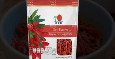DXN Goji Berries Tamaño de empaquetado: 350g