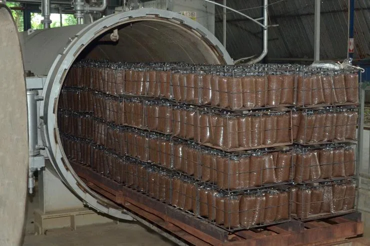 Máquina para eliminar las bacterias del Ganoderma Lucidum.