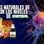suplementos para reducir el cortisol