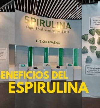 imagen sobre los beneficios de la espirulina