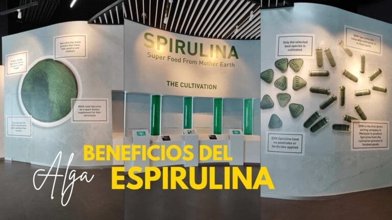 imagen sobre los beneficios de la espirulina