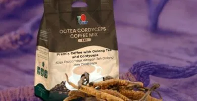 Ootea Cordyceps 3 en 1, 21 g (20 sobres por bolsa)