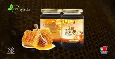 DXN Zhi Honey Tamaño del paquete: 460 g por botella.