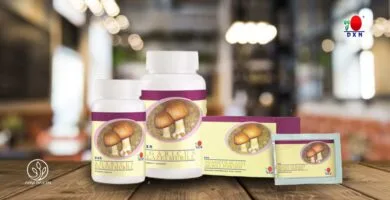 DXN Agaricus Blazei Murill Disponible en presentaciones de 30 y 90 cápsulas, así como en polvo para mayor versatilidad.