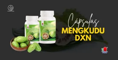 Mengkudu DXN: 350 mg x 30 y 90 cápsulas