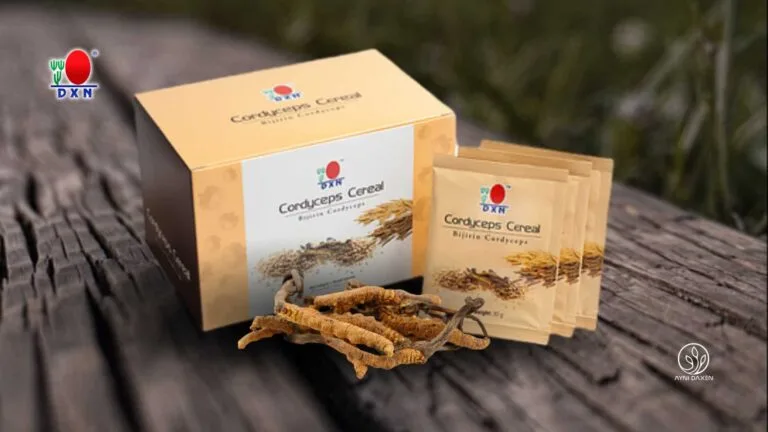 Cordyceps Cereal representada en una caja y por sobres con cacao y el hongo oruga Cordyceps.