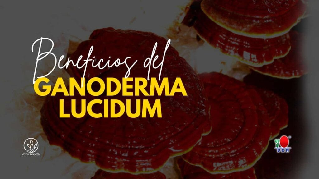 Beneficios del Ganoderma Lucidum