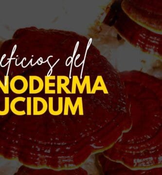 Beneficios del Ganoderma Lucidum