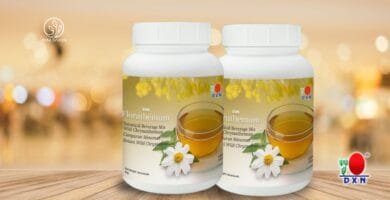 Florathemum DXN infusión de crisantemo silvestre 60g bebida natural refrescante