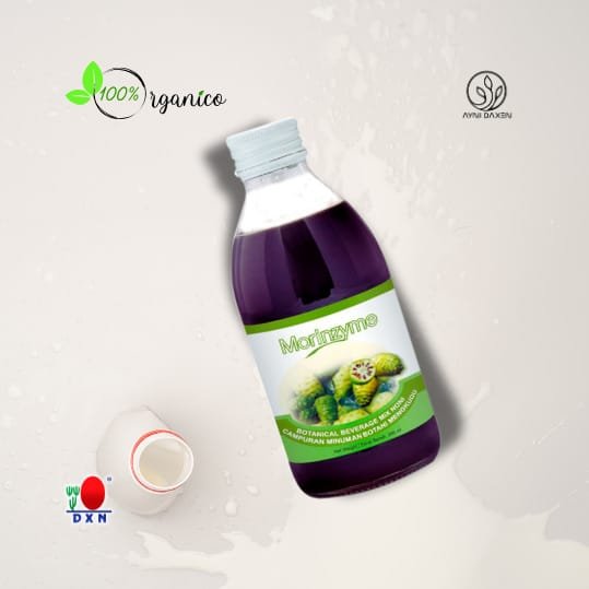 Morinzyme DXN noni bebida botánico, presentado en una botella de vidrio, fruta de noni con hojas de noni.