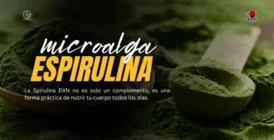 Espirulina para adelgazar: evidencia científica, beneficios y cómo funciona
