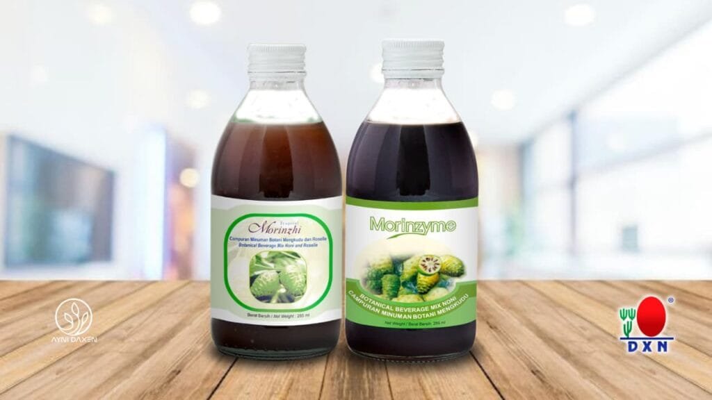 morinzhi y morinzhyme