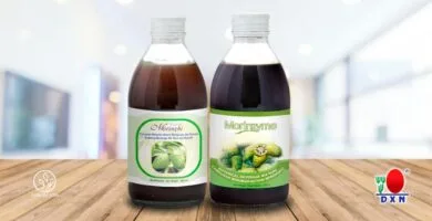 Morinzhi y Morinzyme DXN