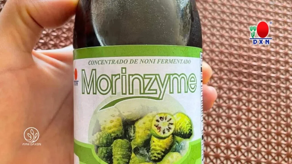 Noni DXN para Qué Sirve: La Bebida Natural que Apoya tu Bienestar