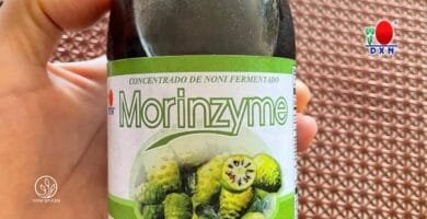 Noni DXN para Qué Sirve: La Bebida Natural que Apoya tu Bienestar