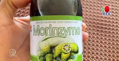 Noni DXN para Qué Sirve: La Bebida Natural que Apoya tu Bienestar