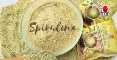 Spirulina Cereal Beneficios Reales para tu Salud y Energía Diaria