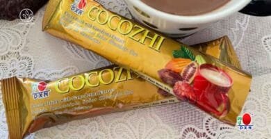 ¿Para qué sirve el Cocozhi DXN?